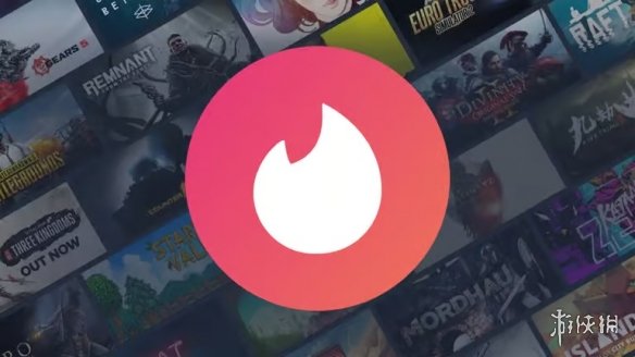 Steam游戏太多？免费神器Dustpile 帮你约会库存！